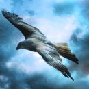 봉정초등학교 이미지