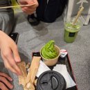 구마모토 여행 구마모토성에서 렌트카로 아소산까지, 2박 3일의 기록
