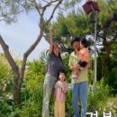 도혜원 민박 이미지