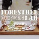 포레스트리 이미지