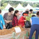 서산인삼협동조합