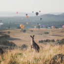 오페라하우스아파트 앞 교통섬 이미지
