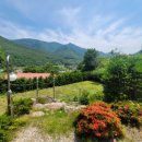 배내피트 이미지