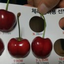 현재농장 이미지