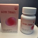 크리엔크 | 방광염 반복되는 여성이라면 | 항산화 프리미엄 흡수율 4배 유리엔 크랜베리 솔직후기