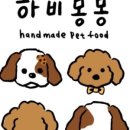 하비몽몽 이미지