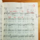 라 비 채 이미지