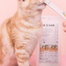 츄르한입 이미지