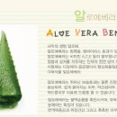 바이오존화장품