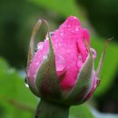 연세프라임병원 이미지