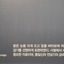 용두 이미지