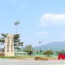 탄금축구장 축구장 이미지