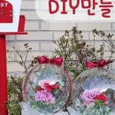 꽃풍선 & 버블 플라워 이미지