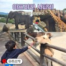 (유)카카오렌트카 | 후쿠오카 아프리칸 사파리 렌트카 입장권 가격 버스투어 비교 내돈내산 후기