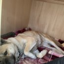 헤이븐하우스 이미지