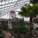 웨스턴라이트(Western Light) 이미지