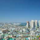 강원국제공인중개사사무소 네이버블로그