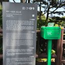제주도 쇠소깍 카약 체험후기 아이들과 가볼만한 곳