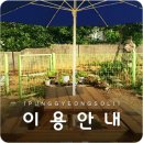 풍경 소리 민박 이미지