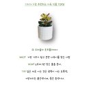 반려식물 - 정읍시 하신경9길 3 | 반려식물