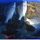 야달선착장 이미지