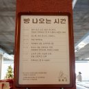 성산에코 | 제주 성산 카페 성산일출봉뷰 프릳츠 제주성산점 주차 메뉴 후기