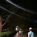 유니댕댕 이미지