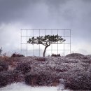 자하미술관 이미지