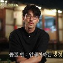 알프스안경