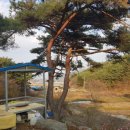 화순주택