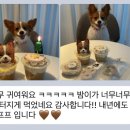 프프프 스토어 이미지