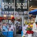 태평역 2번출구 | 태평역꽃집 성남중앙공설시장 중앙수림꽃집 꽃다발 후기