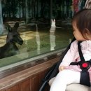 삼정동물병원 이미지