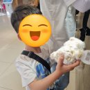 퀸스타운 | 뉴질랜드 남섬 여행: 4일차 퀸스타운 노보텔 숙박 후기와 맛집 추천!👍