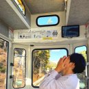 캡슐M | 부산 스카이캡슐 해운대 블루라인파크 해변열차 미포 철길