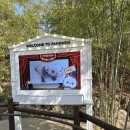 에버마루 | 용인 에버랜드 판다월드. 아이 둘 데리고 판다월드 갈 때 꼭 알아야 할 유모차 동선과 관람 매너 총정리