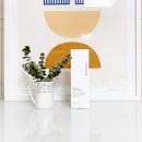 프레그 | 마사지크림 추천, 부드러운 쏭레브 프레그넌시 마사지크림