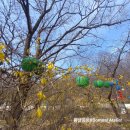 신원사 버스정류장 | 봄날 꽃 구경~ 공주 신원사 #공주가볼만한곳