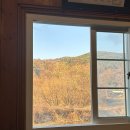 팔공산오리 | 팔공산 맛집! 오리고기맛집! “호수가애”후기