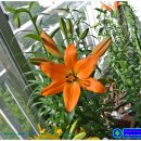 사우스포인트 이미지