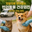 우리집앞동물병원 | 우리 집 앞까지? 반려동물 건강검진, 이제 병원이 찾아와요!