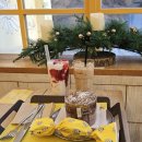 펠리체빈 이미지