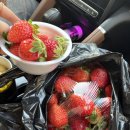 부곡농장 | 창녕 부곡 1박2일 온천여행｜레인보우 온천호텔 가족탕 + 아이랑 가볼만한 코스 정리