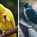 시화세종2차아파트 이미지