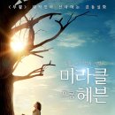 미라클농장 | 가족 영화 '미라클 프롬 헤븐' 상세 줄거리 결말 후기 정보｜불치병에 걸린 딸, 10미터 나무 기적｜감동...