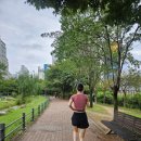 대구선반야월공원(괴전동) | (소소한일상) 초보러너 이야기
