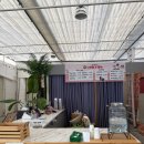 다온농장 | 진주 딸기 체험 농장, 다은 딸기🍓🍓