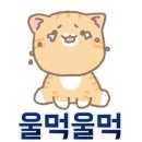 비아네한식 네이버블로그