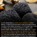 립엔푸드 - 음성군 | 립엔푸드