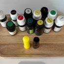 웰니스 트레이닝 스튜디오 이미지